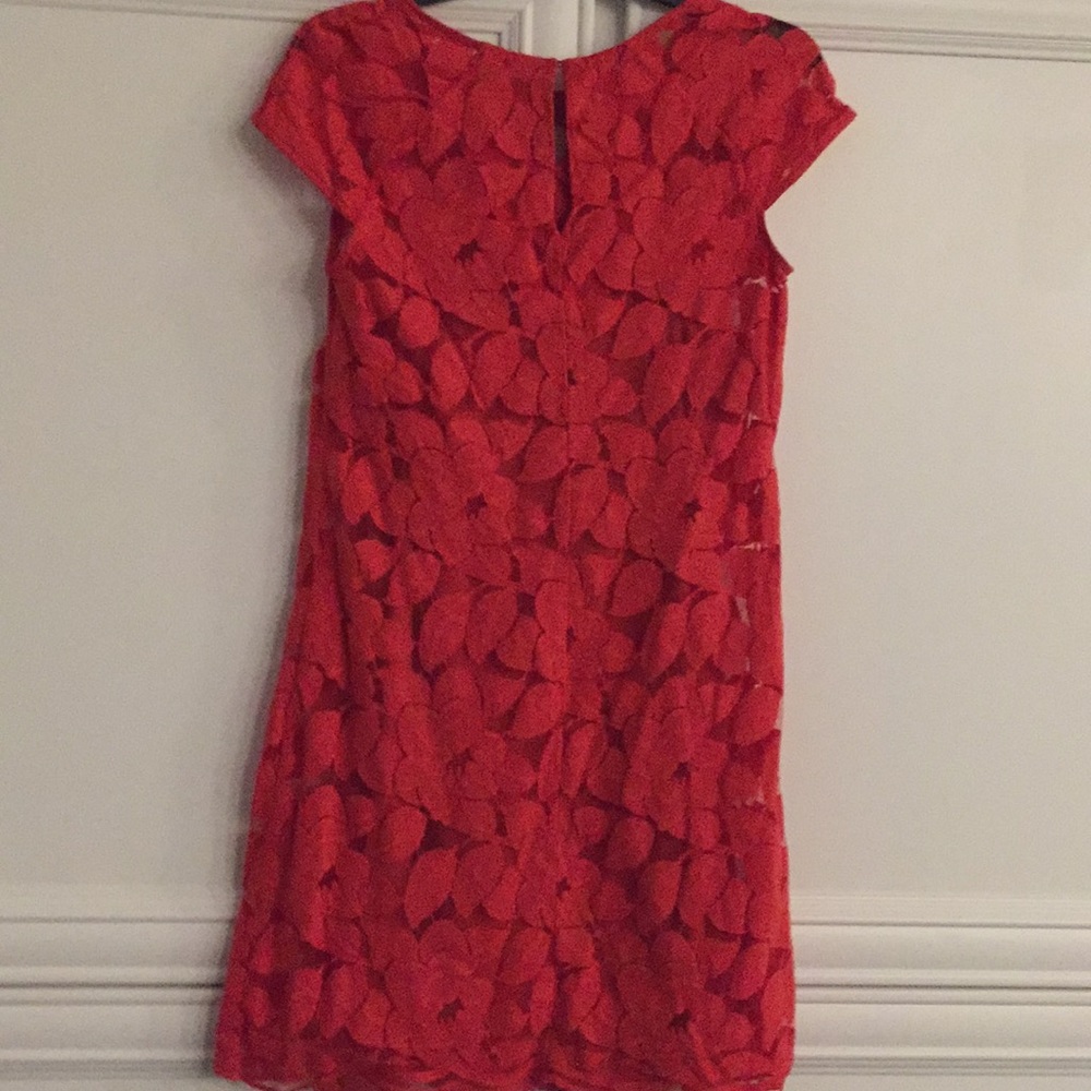 Dress - Picture 5 of 7